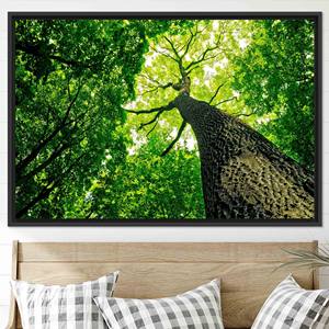 Décoration bohème élégante : Art mural sur toile imprimée pour les espaces modernes, TOILE ENCADRÉE NOIRE - Product Image 1