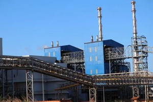 Capacité de qualité manuelle de la centrale électrique à biomasse MSW 500KW-40MW Puissance en acier inoxydable Conception personnalisée et standard - Product Image 5