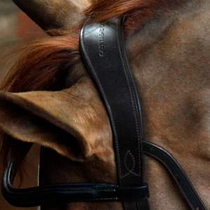 Bride de cheval en cuir véritable Bride de cheval en cuir véritable personnalisée Fabricants vendant une bride de cheval en cuir véritable - Product Image 5