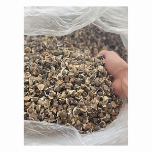 เมล็ดมะรุมธรรมชาติขายส่งจากเบลเยียม อายุการเก็บรักษา 12 เดือน - Product Image 4