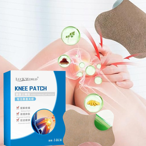 OEM 천연 성분 경피 패치 하이드로겔 관절 영양 패치 (관절 통증 및 부기 완화 무릎 패치) - Product Image 2