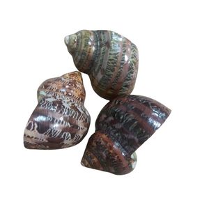 แหวนรัดผ้าเช็ดปากงานแต่งงานสุดหรู ทำจากเปลือกหอย ขายส่ง พร้อมส่ง ผลิตเร็ว แหวนรัดผ้าเช็ดปากสำหรับโต๊ะอาหาร สินค้าขายดี ปี 2026 - Product Image 2