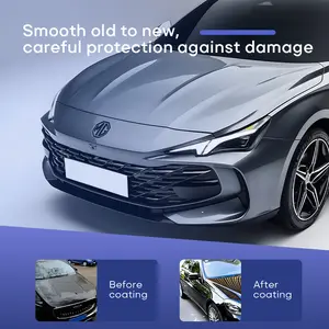 500ml Fábrica Atacado carro cuidados carro pintura revestimento Proteção Nano revestimento Alta concentração líquido spray Coating