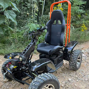 Trottinette électrique à 4 roues, moteur 6000W | Trottinette électrique tout terrain tout terrain pour adultes avec pneus de pelouse, vitesse de 75 km/h - Product Image 2