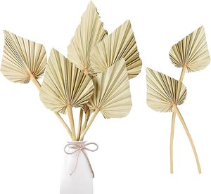 Hoja de Palma Flor seca Hojas de Palma Flor Decorativa Hojas de Palma conservadas Día DE LA MADRE Día de San Valentín Navidad Gracias - Product Image 2