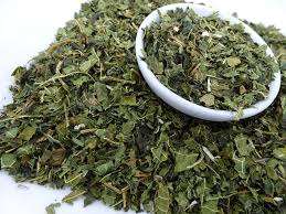 HOJAS DE PAPAYA PREMIUM/DEFENSA NATURAL/SIN AZÚCAR AÑADIDO/ORIGEN VEGETAL - Product Image 5