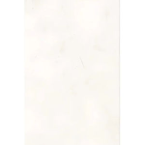 บราสโซ่สีเบจมันวาว - Product Image 1