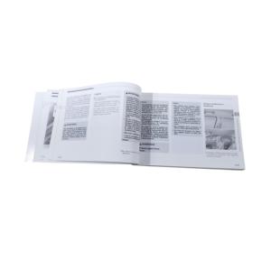 MANUAL DEL PROPIETARIO KIA Picanto Serie JG60-IT7DG (17>23) - Product Image 6