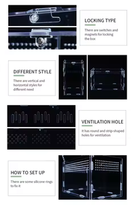 Benutzer definierte abnehmbare Acryl Reptilien <span class=keywords><strong>Terrarium</strong></span> Solid Design Detach Cage für Spider Lizard Gecko Classic Simple Style Box Verpackung - Product Image 6