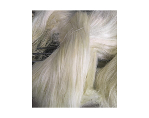 Precio bajo 100% Fibra de sisal natural para la venta/Venta al por mayor 100% Fibra de sisal para la venta Descuento caliente - Product Image 6