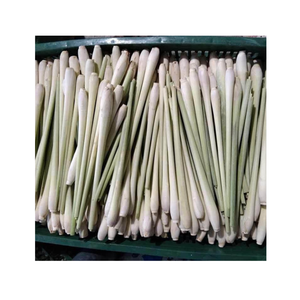 Hierba de Limón Congelada Natural Cortada en Segmentos o Picada para Uso Culinario Suministro a Granel - Product Image 5