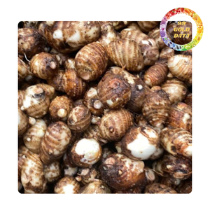 Taro surgelé le plus vendu du Vietnam |   Qualité supérieure, prêt à l'emploi, choix sain, disponibilité en vrac - Product Image 2