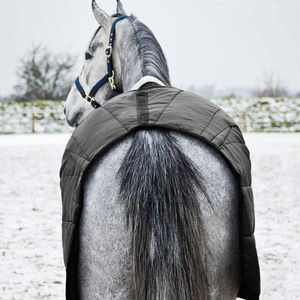 Meilleur prix pour la qualité personnalisé élastique hiver cheval tapis imperméable respirant cheval vêtements avec coton remplissage direct usine - Product Image 3
