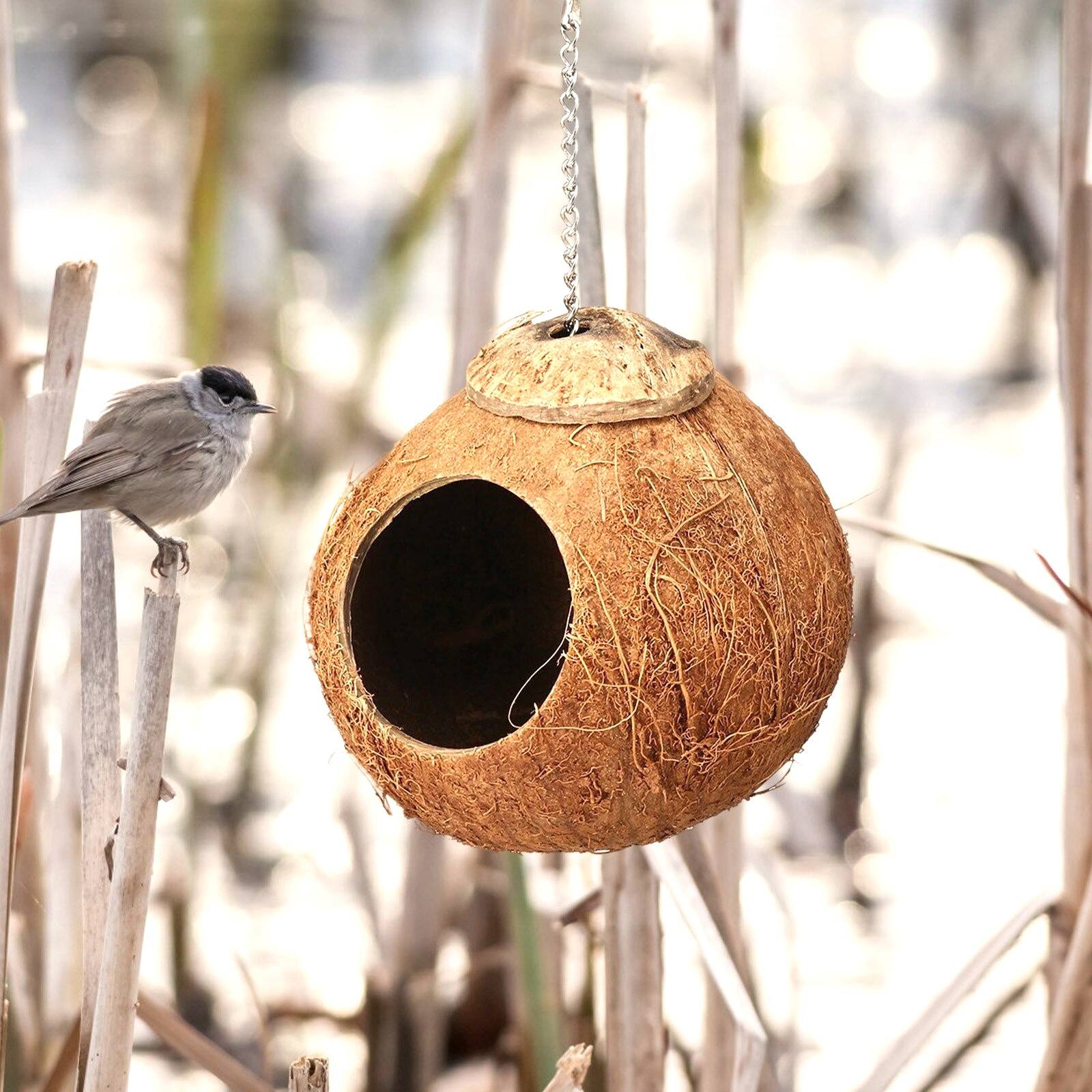 ธรรมชาติ