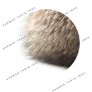 Haute Qualité 100% Coton Snapback Cap Nouvelle Mode Hiver Chaud Bonnet pour Adultes Casual Laine Tissu avec Logo pour Voyage - Product Image 2