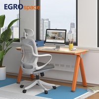 EGROspace Mobilier Minimaliste Haut de Gamme Bureau de Travail Modulaire Individuel avec Piétement Métallique pour Coworking