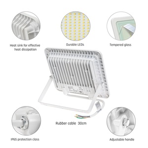 Proiettore LED da esterno Noctis Lux 2 bianco 30W 4000K IP65 (Spectrum SLI029054NW) - Product Image 2
