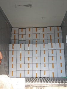 Approvisionnement en vrac de fruits à pain rôtis en tranches congelés IQF provenant d'un exportateur de confiance du Vietnam-Caryln 0084935825297 - Product Image 6