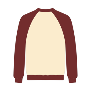 Felpa Kappa Alpha Psi J5 con Ricamo in Ciniglia Neutro, Maniche Raglan, Nupe 1911, Fraternità Greca, Top Premium in Cotone per Uomo - Product Image 4