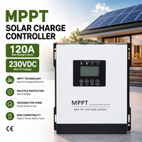 Contrôleur de charge solaire MPPT 120A, entrée PV max 230V, régulateur de charge solaire intelligent, système solaire hors réseau, contrôle de charge de batterie