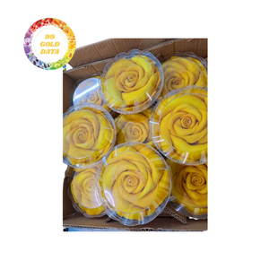 Prix d'usine, meilleure qualité, friandises à la mangue moelleuses, faible teneur en sucre, tranches de mangue séchées moelleuses, en vrac/emballage sous vide, processus de séchage AD - Product Image 1