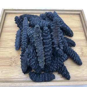 Pepino de mar seco de alta calidad limpio y completamente seco listo para comer embalaje disponible ahora para pedidos al por mayor - Product Image 2