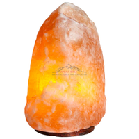Lampe en sel rose de l'Himalaya en gros, grande taille, avec base en bois, technique de sculpture naturelle Feng Shui, qualité supérieure, certifiée ISO