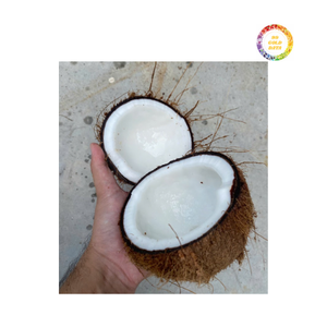 Material de coco orgánico de coco semi descascarillado adecuado para postres y batidos de Vietnam - Product Image 6