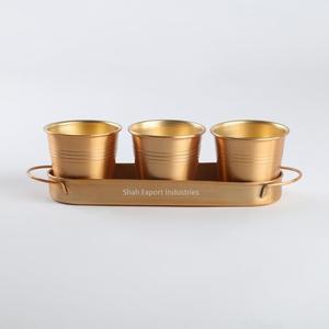 Jardinière en pot d'herbes au fini or avec plateau pour intérieur et extérieur en métal pour plantes succulentes en pot pour la maison et la cuisine - Product Image 1