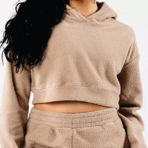 Veste polaire Sherpa pour femmes 2023 Hiver Chaud Doux Peluche Fermeture éclair Sweatshirt Femme Broderie Crop Hoodies Jacket - Product Image 6