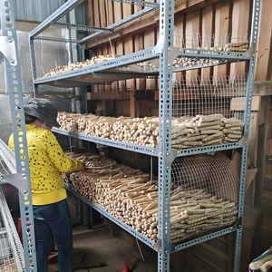 ไม้กาแฟสำหรับสุนัขที่แข็งแรงและทนทาน - Product Image 6