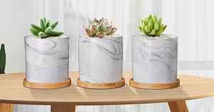 POTS DE FLEURS - Product Image 3