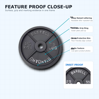 Ensemble de plaques de poids en fonte Pureflex noires durables personnalisées 255 LB (2,5-45 LB) pour l'entraînement de force à domicile
