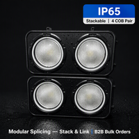 Projecteurs Panneaux Wash Blinder 300W IP65 2x150W COB RGBWY, 48 LED RGB à raccordement DMX512 RDM, Éclairage Stroboscopique Extérieur pour Scène, Événements, DJ, Mur