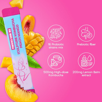 Poudre de boisson probiotique Kombucha à prix d'usine, saveur Lion's Mane, Mélisse, Booster de métabolisme, pour adultes, saveur Pêche Mangue