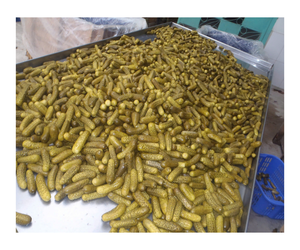 OFFRE SPÉCIALE Concombre mariné pour bébé de petite taille du Vietnam, cornichons à bas prix - Product Image 3