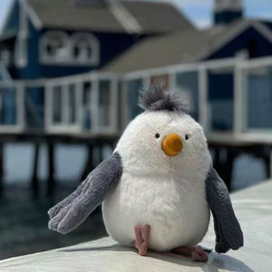 Jelly <b>Cat</b> Chipper Seagull Super Soft Comforter Plush Toy Kids' <b>Sofa</b> Cushion Vacation Props French Fries Partner for Beach - Product Image 2