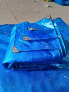 Bâche PE fabriquée en usine de qualité vierge utilisée pour polyvalent avec couleur de taille personnalisable et GSM - Product Image 2