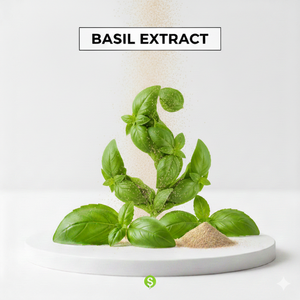 Polvo de Extracto Seco de Tulsi de Alta Calidad para los Mercados de Ingredientes Herbales, Cosméticos y Funcionales - Product Image 1