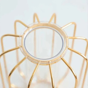 Modern Home Decor Luxury Gold Plated Flower Vase Iron Brass Copper Metal <b>Wire</b> Vase Tube Glass Artificial Plant Rustic Design - Product Image 5