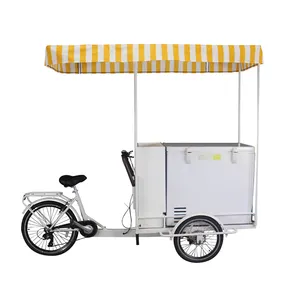 Vélo de crème glacée congélateur 200L pour boisson froide tricycle électrique pour vélo d'affaires mobile