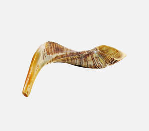 Auténtico Shofar de Cuerno de Búfalo Natural Pulido a Mano con Relieves Tallados a Mano y Tonos Miel Profundos Tradicionales - Product Image 6