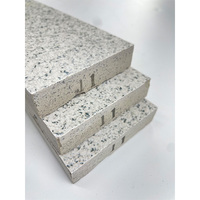 Dalles de pavage en porcelaine pour extérieur 600x1200 mm 300x600 mm 18 mm pour aménagement paysager de jardin, villa, patio
