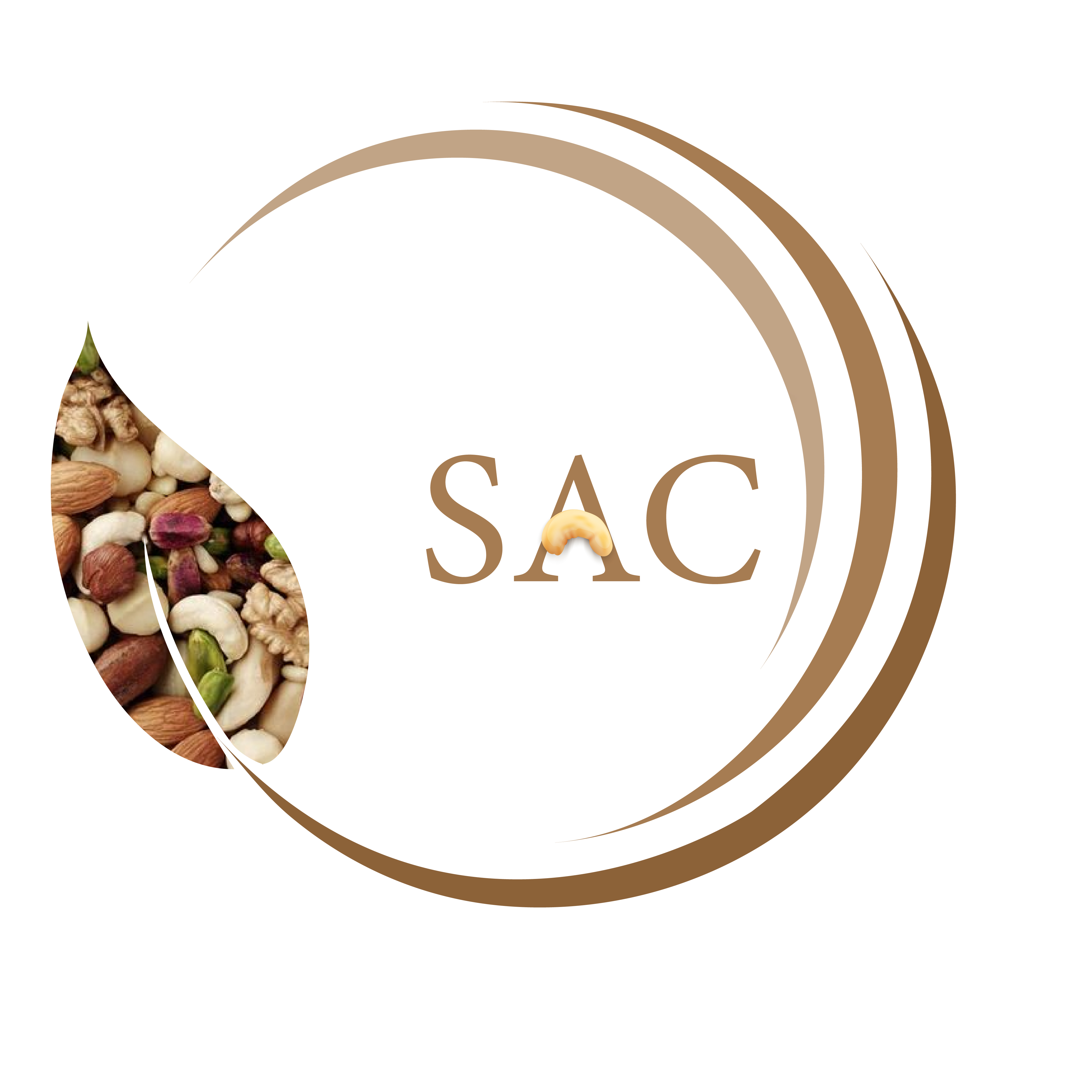 SHRI ADINATH CASHEW PRIVATE LIMITED logo
