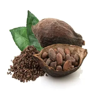 Fèves de cacao non torréfiées en stock | Achetez les fèves de cacao crues et torréfiées en vrac à bon prix