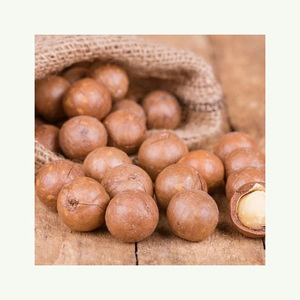 Nueces de Macadamia a granel compre en línea bocadillo saludable nueces saladas crudas o tostadas para la venta comprar ahora - Product Image 6