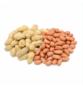 Cacahuete natural no OGM de alta calidad, producto a granel, cacahuetes crudos naturales para alimentos - Product Image 2