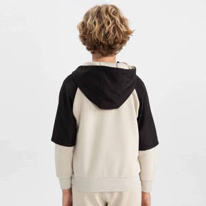 High Quality Custom Made Embroidered Double Sleeved Raglan Hoodie for Kids Half Zip up with Organic Cotton for <b>Boys</b> and Babies - Product Image 4