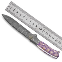 Couteau de chasse et de survie personnalisable OEM DD-DAM-565 en acier Damas à lame pleine, 58-60 HRC, manche en Micarta violet-blanc à empreintes digitales