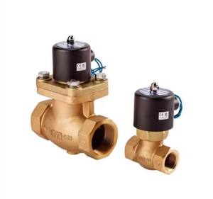 UL429 317 NASS DIN Electrovanne à bobine en laiton étanche avec extrémité filetée certifiée CE CSA OEM personnalisable Application générale - Product Image 1